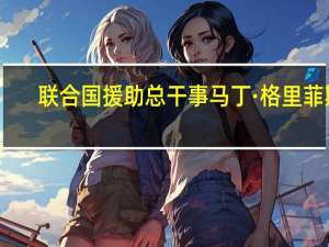 联合国援助总干事马丁·格里菲斯：加沙需要“人道主义停火”