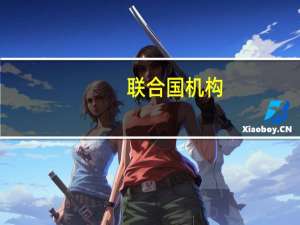 联合国机构：加沙地带有近100万巴勒斯坦人流离失所