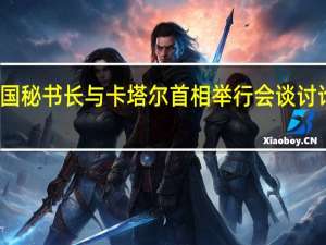 联合国秘书长与卡塔尔首相举行会谈 讨论巴以局势