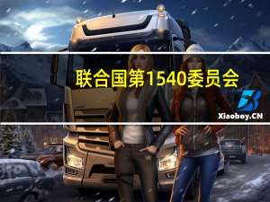 联合国第1540委员会(关于联合国第1540委员会简述)