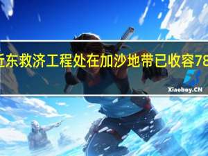 联合国近东救济工程处在加沙地带已收容78万流离失所者