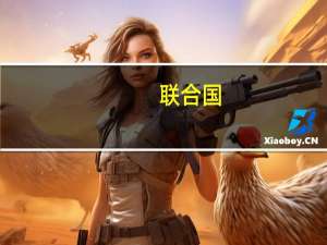 联合国：需要多条渠道向加沙提供援助以色列控制的克雷姆沙隆是唯一一个能够快速通过大量卡车的渠道