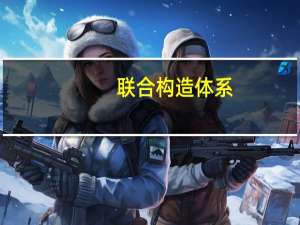 联合构造体系(关于联合构造体系简述)
