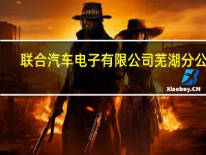 联合汽车电子有限公司芜湖分公司(关于联合汽车电子有限公司芜湖分公司简述)