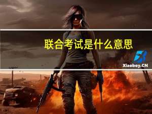 联合考试是什么意思