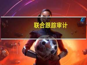 联合跟踪审计(关于联合跟踪审计简述)