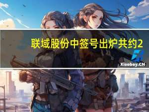 联域股份中签号出炉 共约2.93万个