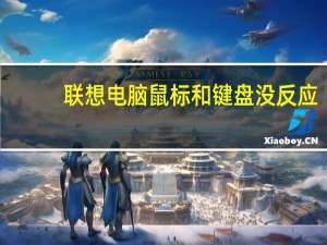 联想电脑鼠标和键盘没反应（鼠标和键盘没反应）