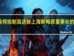 联手徐翔炮制高送转 上海新梅原董事长的套现不归路