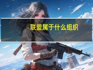 联盟属于什么组织