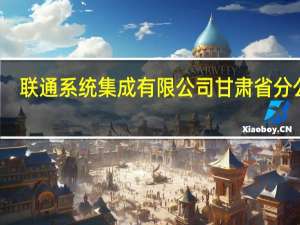 联通系统集成有限公司甘肃省分公司(关于联通系统集成有限公司甘肃省分公司简述)