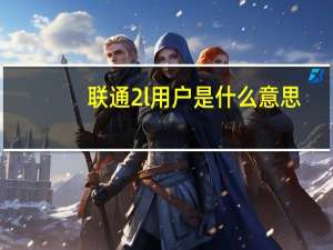 联通2l用户是什么意思