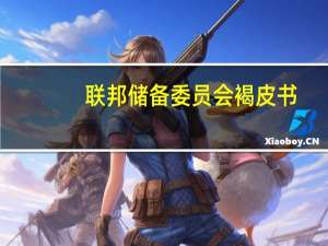 联邦储备委员会褐皮书(关于联邦储备委员会褐皮书简述)
