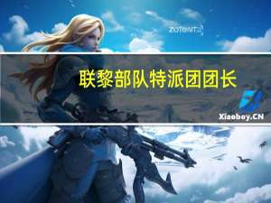 联黎部队特派团团长：致力于防止黎以边境紧张局势升级