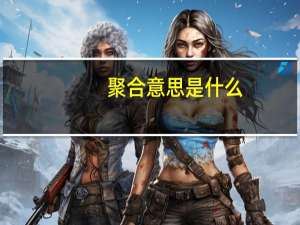 聚合意思是什么
