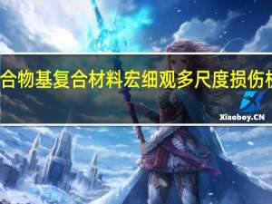 聚合物基复合材料宏细观多尺度损伤机理研究(关于聚合物基复合材料宏细观多尺度损伤机理研究简述)