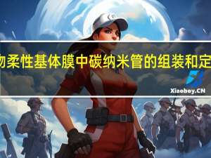 聚合物柔性基体膜中碳纳米管的组装和定向定位排布(关于聚合物柔性基体膜中碳纳米管的组装和定向定位排布简述)