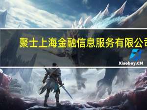 聚士 上海金融信息服务有限公司(关于聚士 上海金融信息服务有限公司简述)