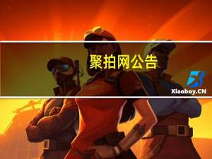 聚拍网公告（聚竞拍简介）