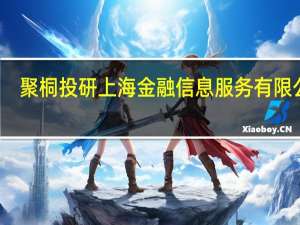 聚桐投研 上海金融信息服务有限公司(关于聚桐投研 上海金融信息服务有限公司简述)