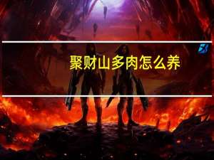 聚财山多肉怎么养
