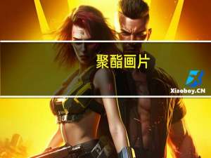 聚酯画片(关于聚酯画片简述)