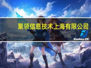 聚领信息技术 上海有限公司(关于聚领信息技术 上海有限公司简述)