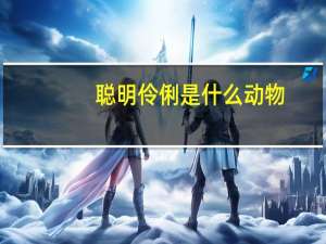聪明伶俐是什么动物