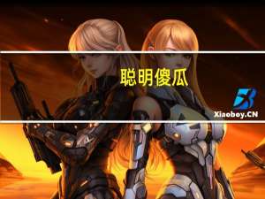 聪明傻瓜(关于聪明傻瓜简述)