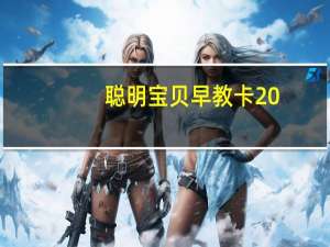 聪明宝贝早教卡2 0-3岁(关于聪明宝贝早教卡2 0-3岁简述)