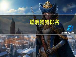 聪明狗狗排名