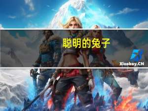 聪明的兔子(关于聪明的兔子简述)