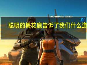 聪明的梅花鹿告诉了我们什么道理