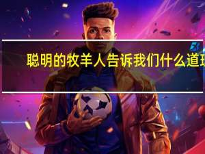 聪明的牧羊人告诉我们什么道理