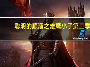 聪明的顺溜之雄鹰小子第二季(关于聪明的顺溜之雄鹰小子第二季简述)