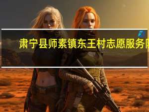 肃宁县师素镇东王村志愿服务队(关于肃宁县师素镇东王村志愿服务队简述)