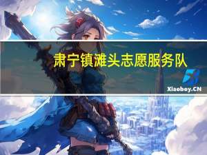 肃宁镇滩头志愿服务队(关于肃宁镇滩头志愿服务队简述)