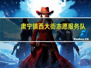 肃宁镇西大街志愿服务队(关于肃宁镇西大街志愿服务队简述)