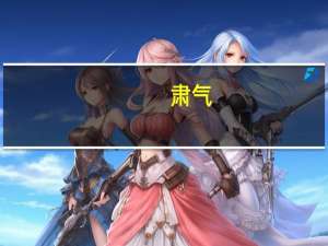 肃气(关于肃气简述)