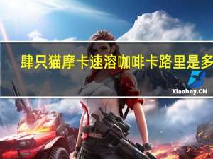 肆只猫 摩卡速溶咖啡卡路里是多少