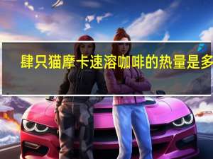 肆只猫 摩卡速溶咖啡的热量是多少