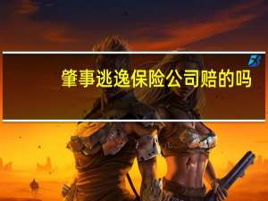 肇事逃逸保险公司赔的吗