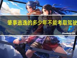 肇事逃逸的多少年不能考取驾驶证