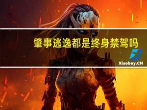 肇事逃逸都是终身禁驾吗