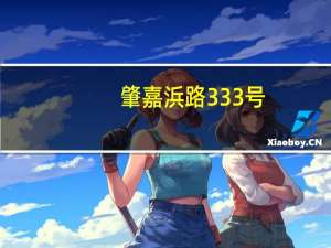 肇嘉浜路333号(关于肇嘉浜路333号简述)