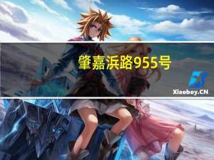 肇嘉浜路955号(关于肇嘉浜路955号简述)