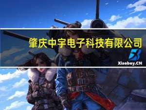 肇庆中宇电子科技有限公司(关于肇庆中宇电子科技有限公司简述)