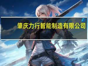 肇庆力行智能制造有限公司(关于肇庆力行智能制造有限公司简述)
