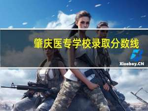 肇庆医专学校录取分数线