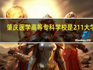 肇庆医学高等专科学校是211大学吗